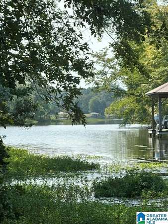 Land for Sale in Sylacauga, Alabama