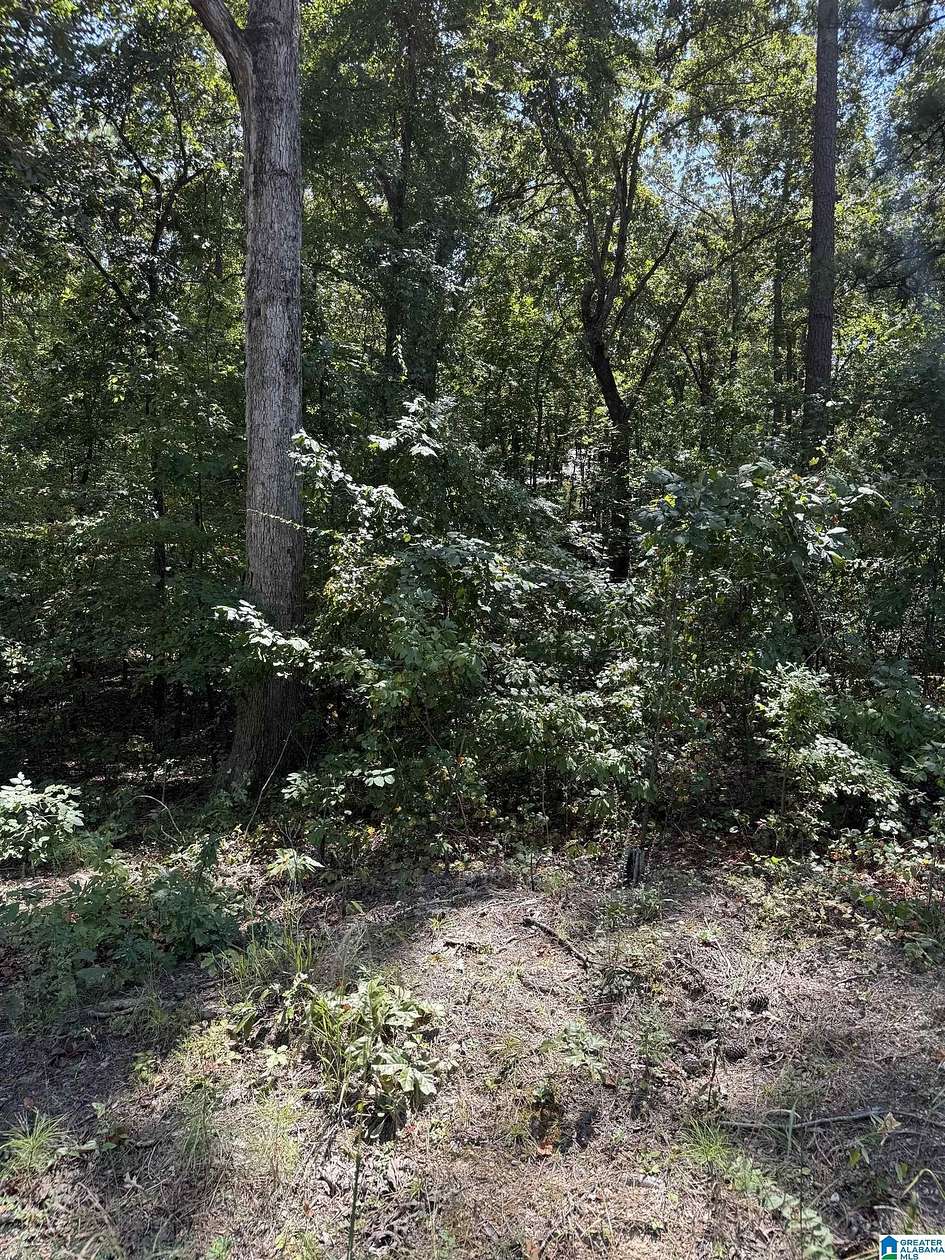 0.37 Acres of Residential Land for Sale in Talladega, Alabama