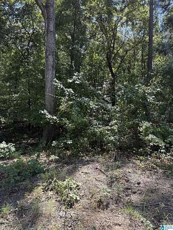 0.37 Acres of Residential Land for Sale in Talladega, Alabama
