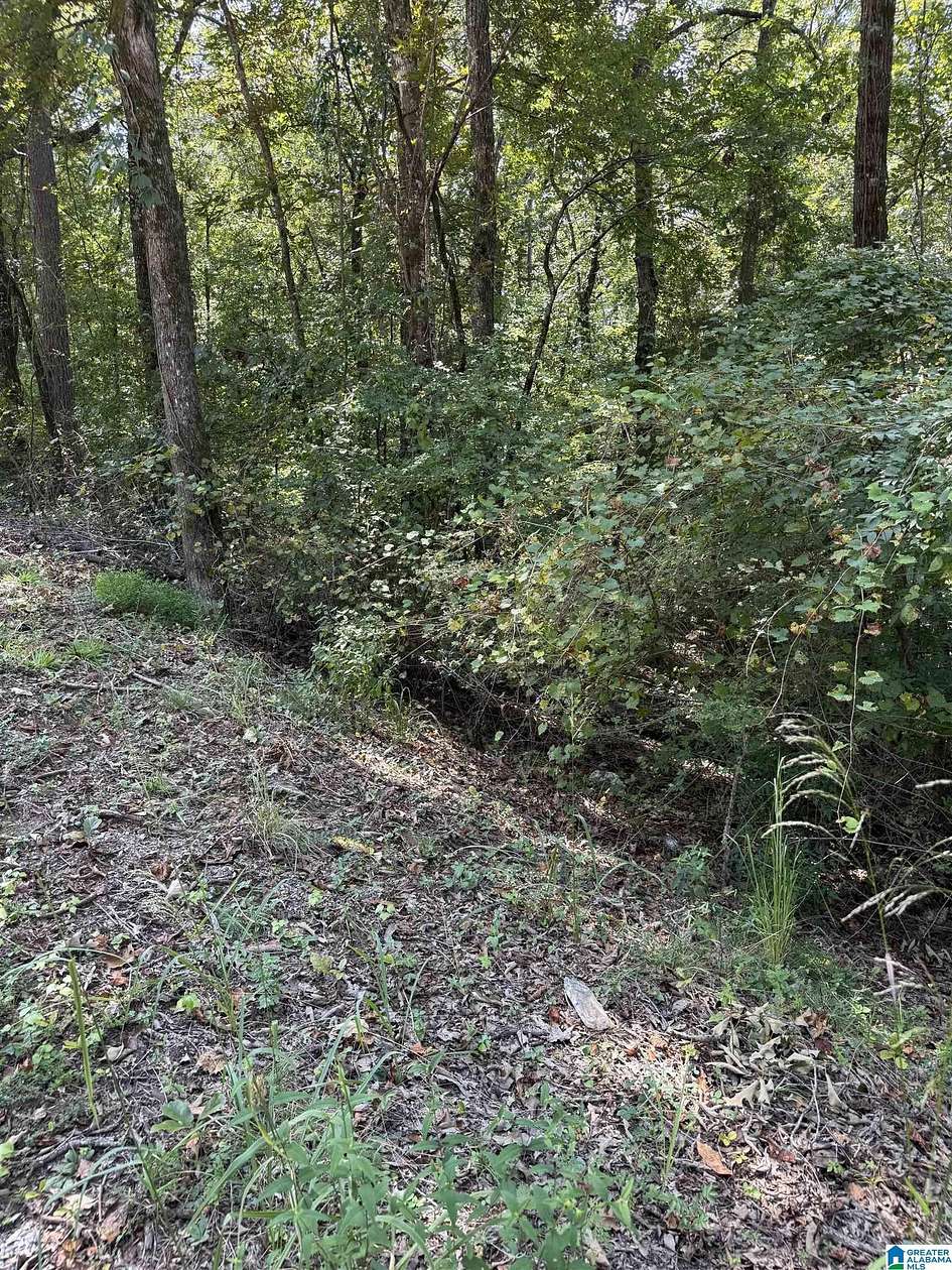 0.73 Acres of Residential Land for Sale in Talladega, Alabama