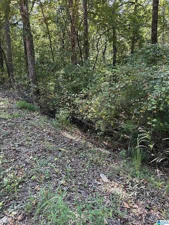 0.73 Acres of Residential Land for Sale in Talladega, Alabama