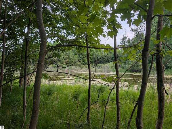 7.74 Acres of Residential Land for Sale in Traverse City, Michigan