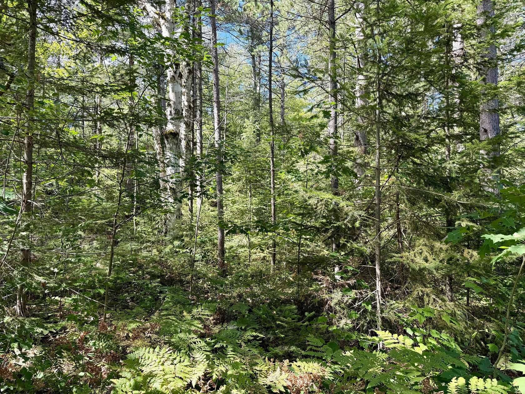 Residential Land for Sale in Cheboygan, Michigan