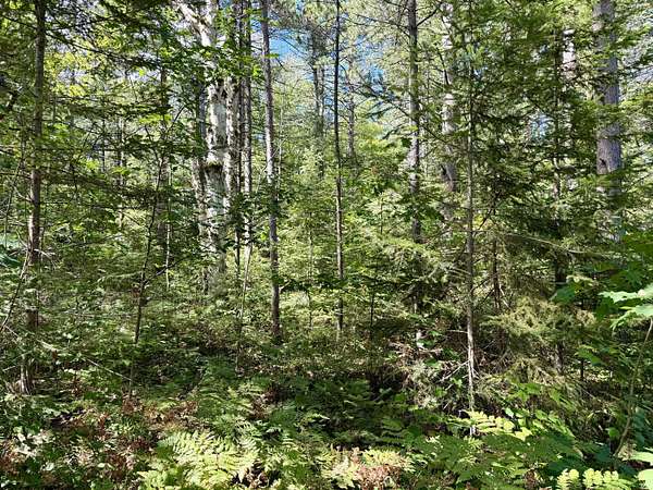 Residential Land for Sale in Cheboygan, Michigan
