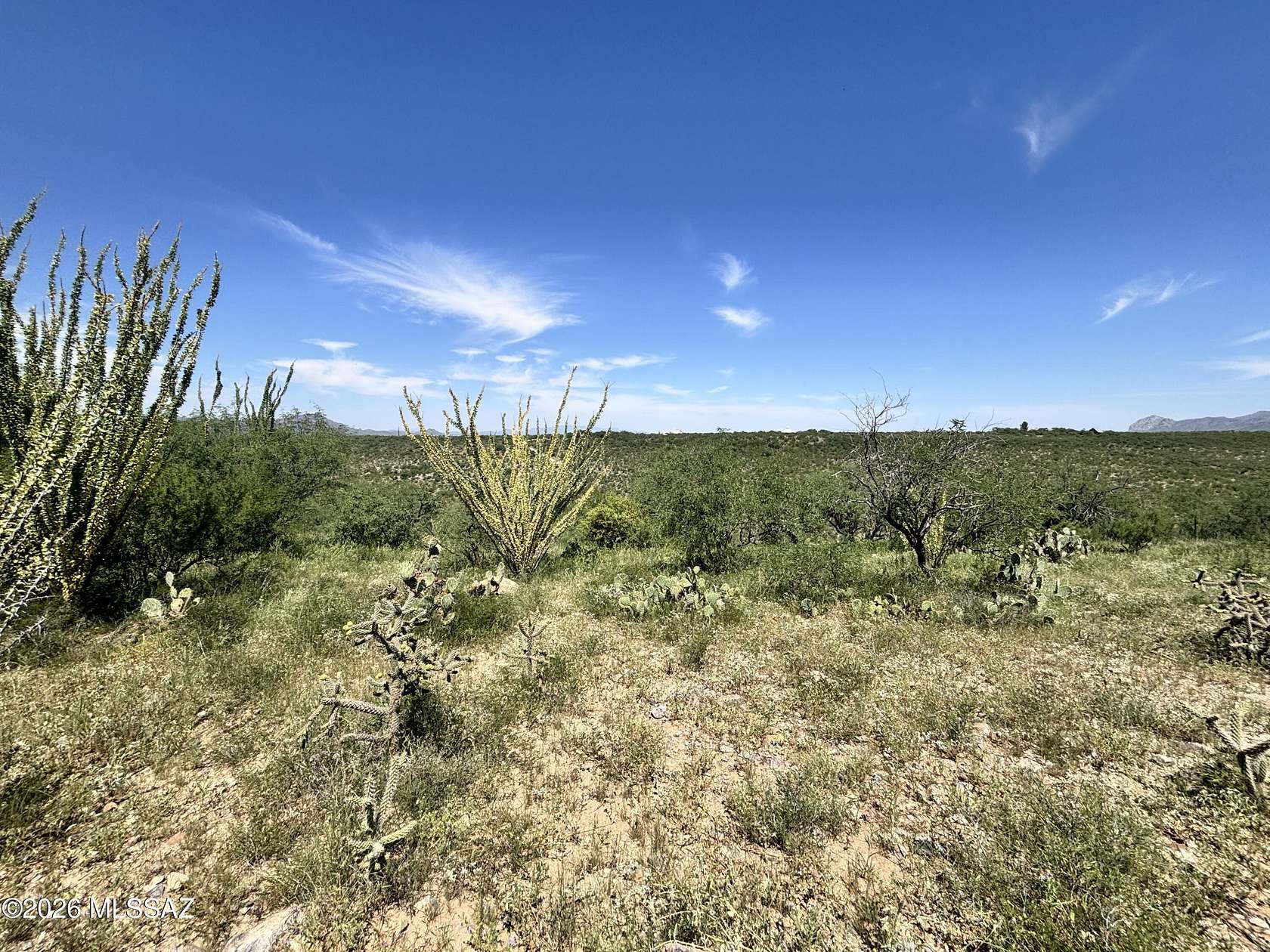 1.66 Acres of Residential Land for Sale in Rio Rico, Arizona