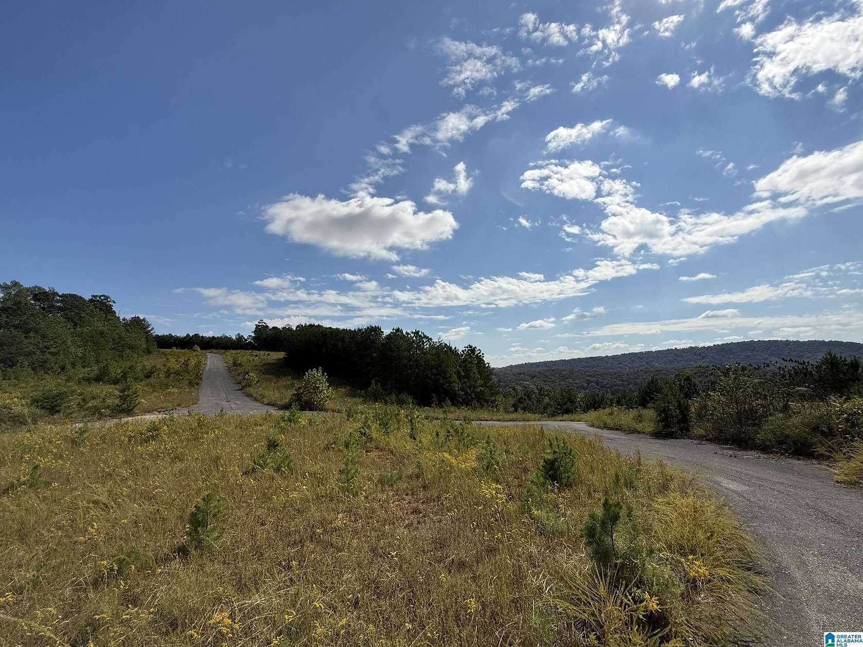 309 Acres of Recreational & Residential Land for Sale in Pinson, Alabama