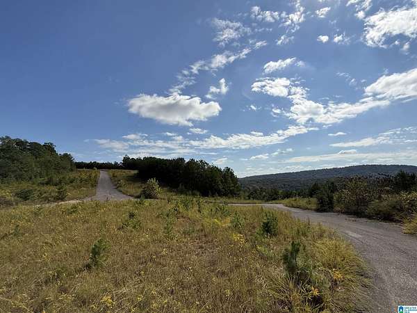 309 Acres of Recreational & Residential Land for Sale in Pinson, Alabama