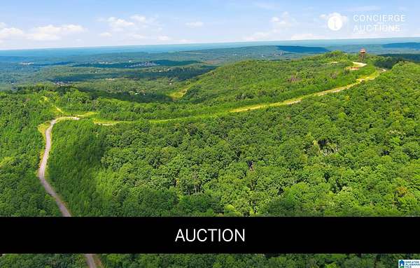 309 Acres of Recreational & Residential Land for Sale in Pinson, Alabama