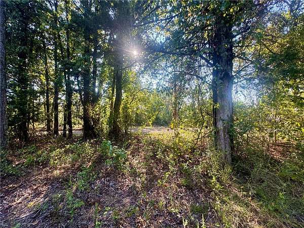 10 Acres of Residential Land for Sale in Dover, Arkansas
