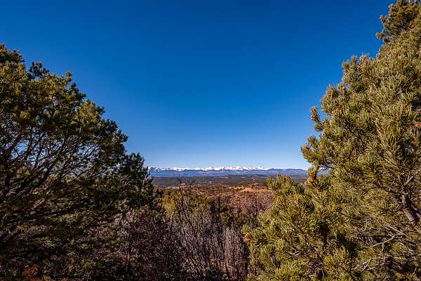 35 Acres of Land for Sale in Weston, Colorado