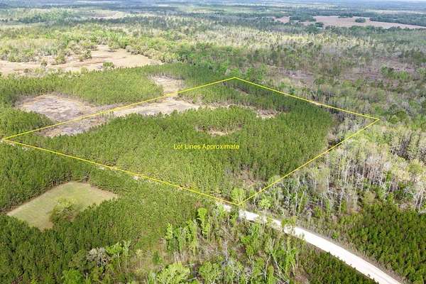 15.7 Acres of Recreational & Residential Land for Sale in Madison, Florida