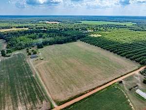 31.8 Acres of Land with Home for Auction in Sylvester, Georgia