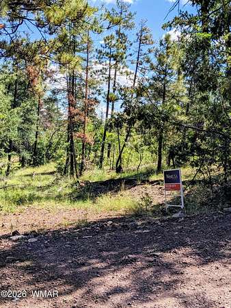 0.96 Acres of Residential Land for Sale in Alpine, Arizona