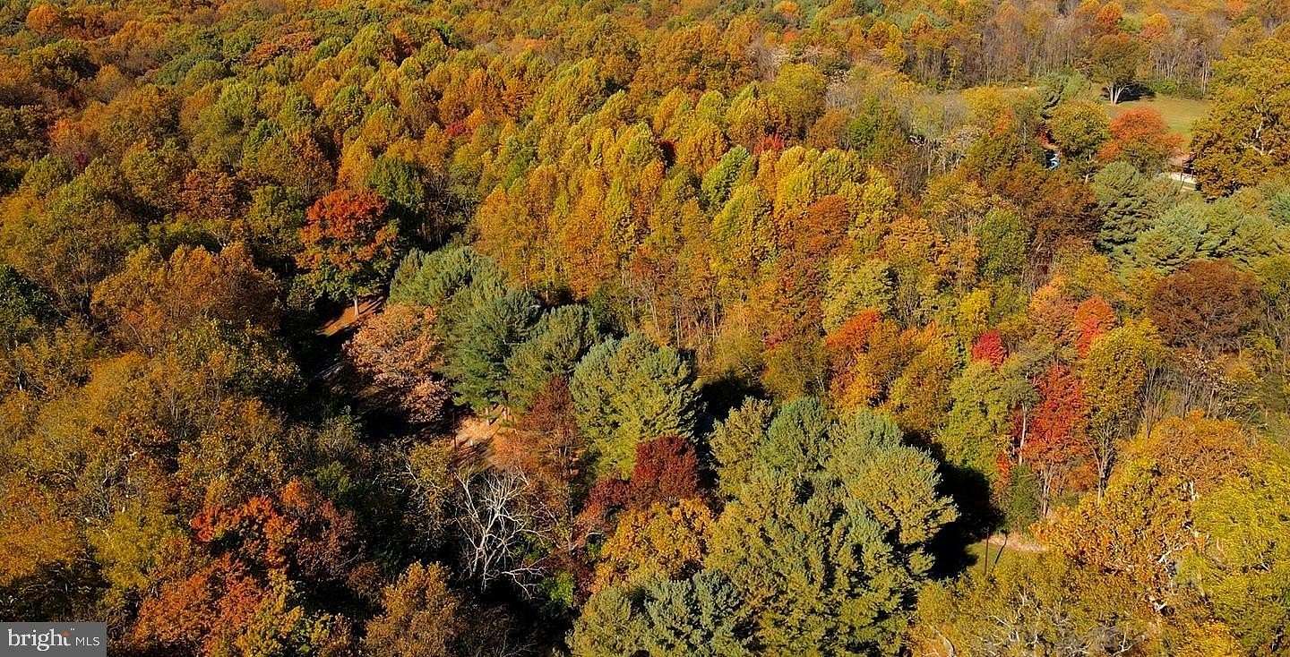 10.3 Acres of Land for Sale in Dayton, Maryland