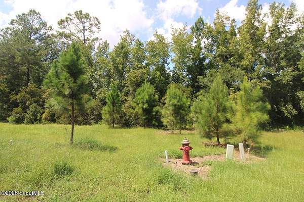 0.11 Acres of Residential Land for Sale in Brunswick, Georgia