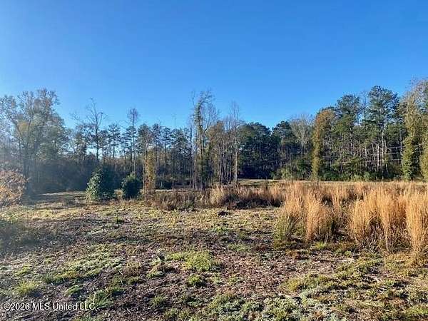 2.56 Acres of Residential Land for Sale in Summit, Mississippi