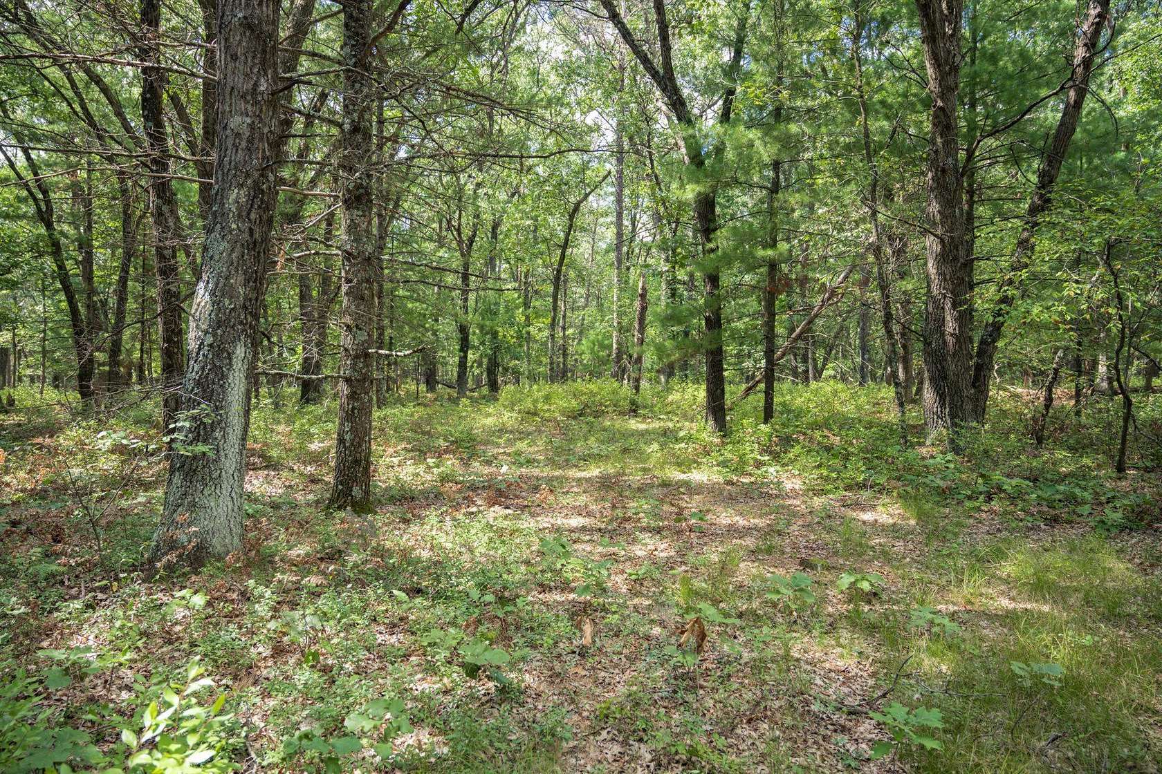 16.4 Acres of Land for Sale in New Lisbon, Wisconsin