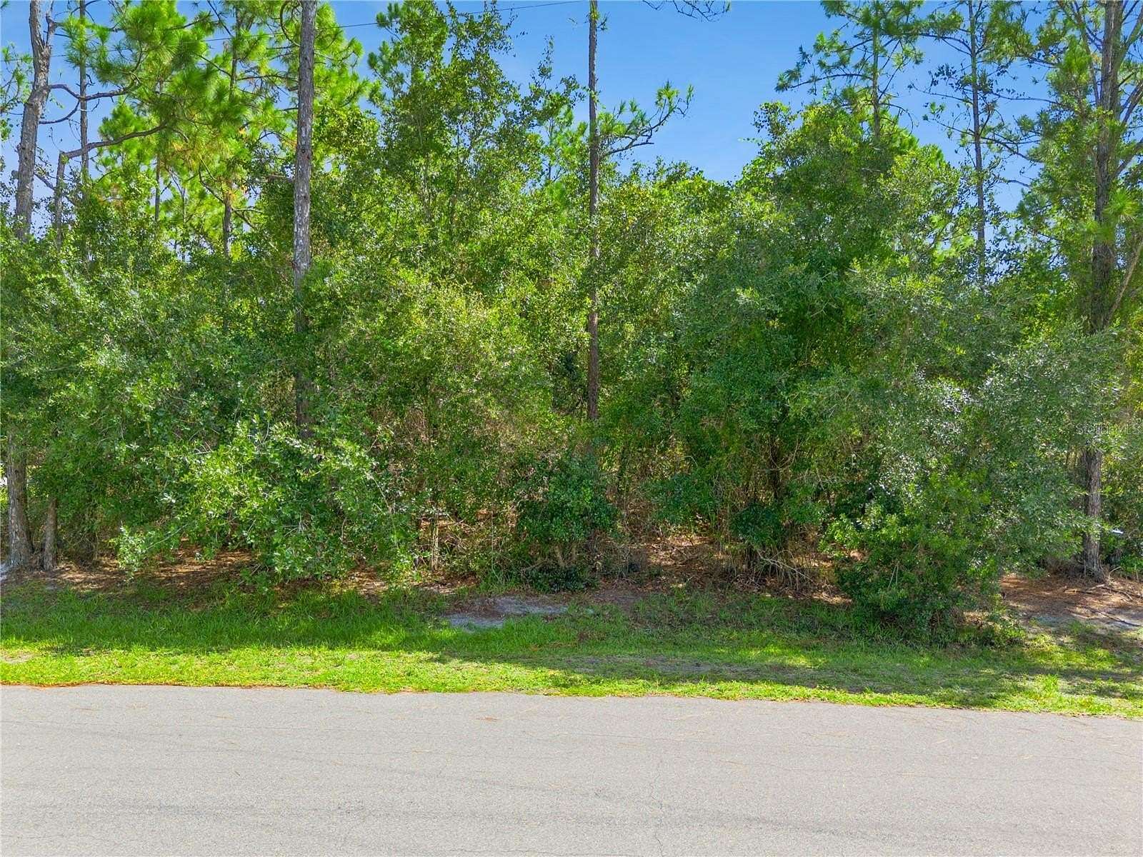 5.26 Acres of Residential Land for Sale in St. Cloud, Florida