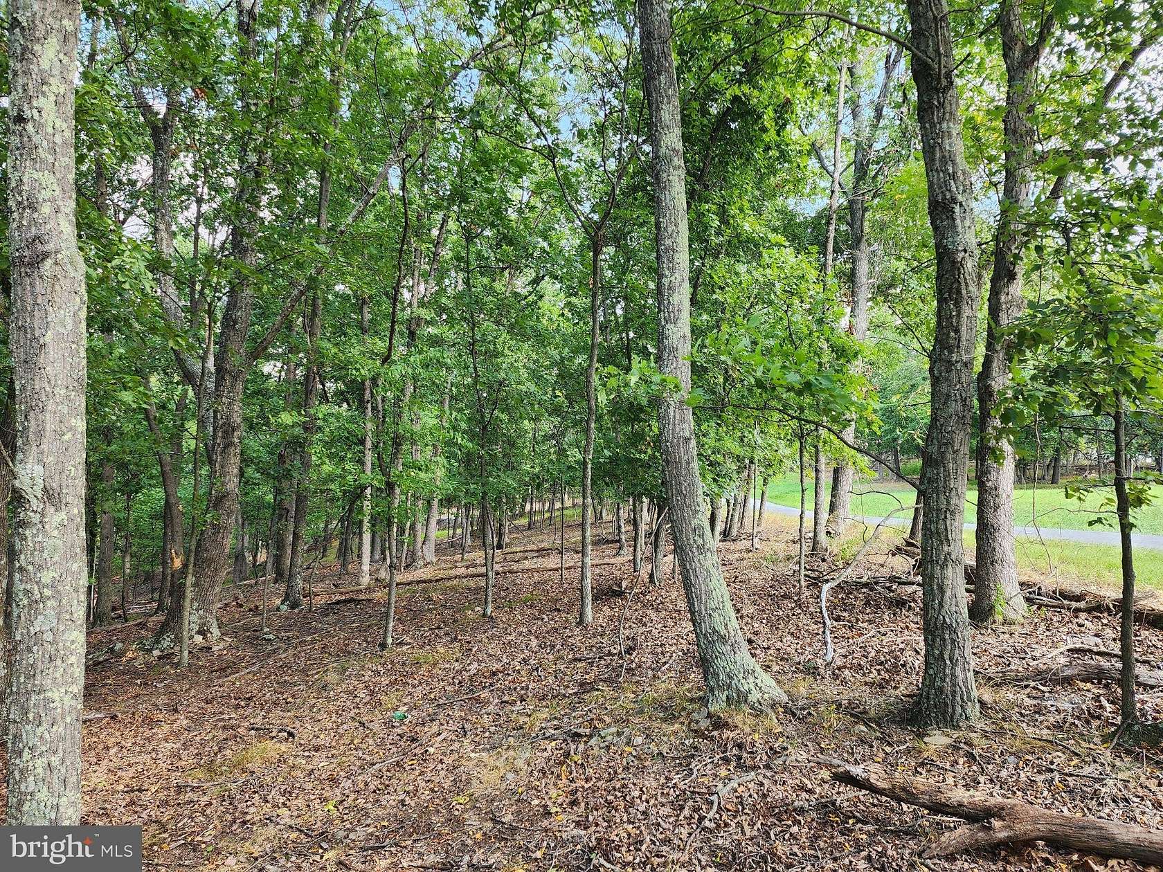 2.53 Acres of Residential Land for Sale in Berkeley Springs, West Virginia
