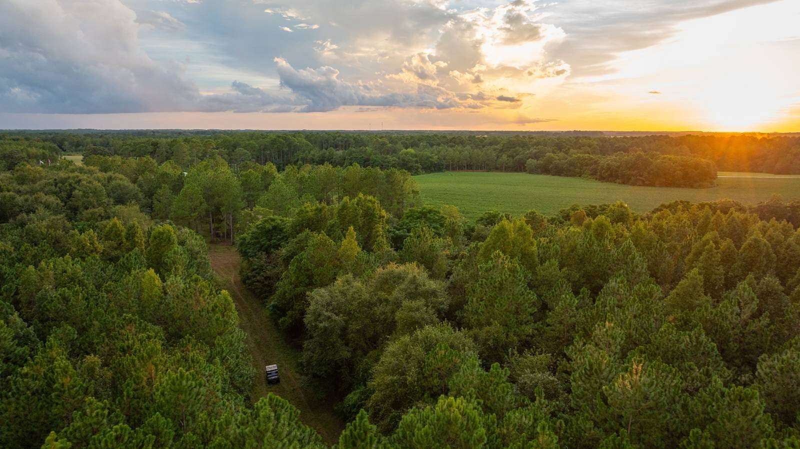 258 Acres of Land for Sale in Pitts, Georgia