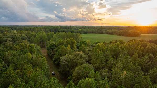 258 Acres of Land for Sale in Pitts, Georgia