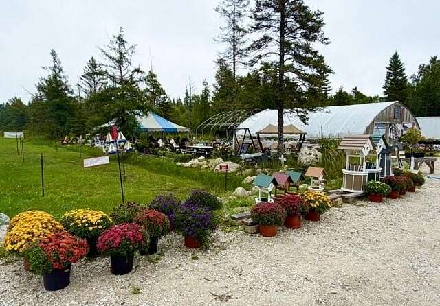 2.22 Acres of Improved Mixed-Use Land for Sale in Hessel, Michigan