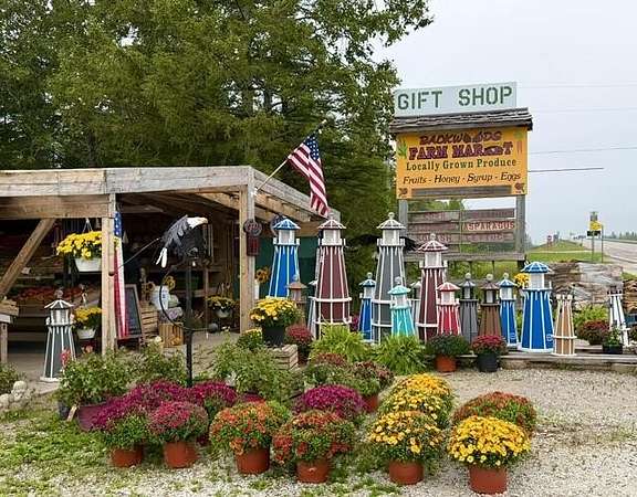 2.22 Acres of Improved Mixed-Use Land for Sale in Hessel, Michigan