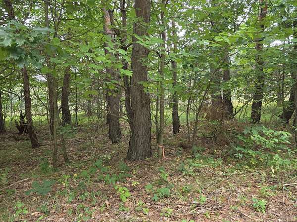 7.5 Acres of Residential Land for Sale in Grayling, Michigan