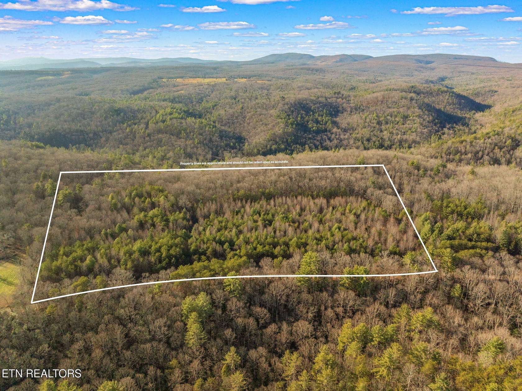 40 Acres of Land for Sale in Rockwood, Tennessee