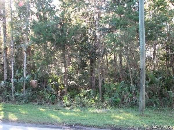 1.27 Acres of Commercial Land for Sale in Crystal River, Florida