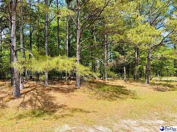 0.67 Acres of Residential Land for Sale in Cheraw, South Carolina