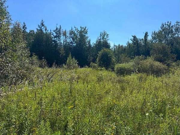 36.8 Acres of Land for Sale in Alpena, Michigan