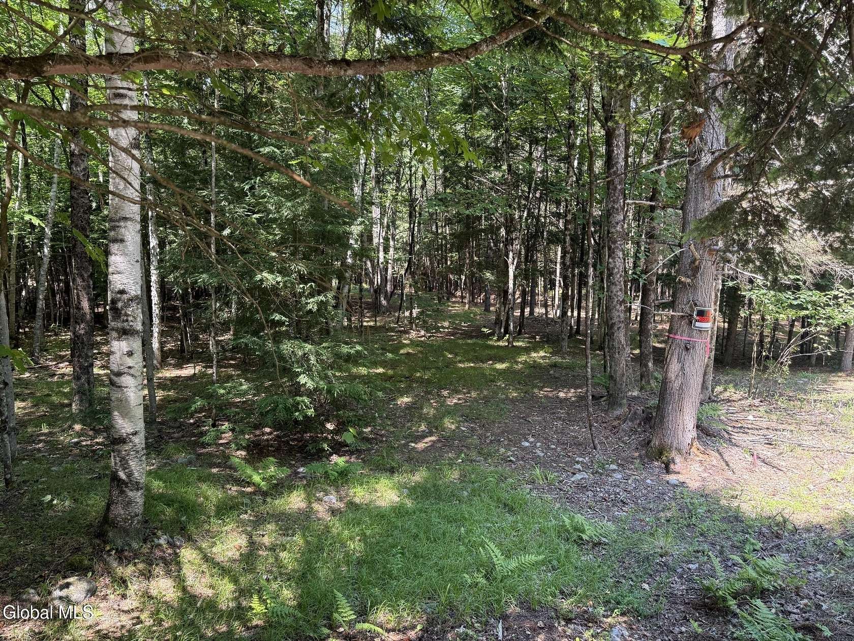 1.42 Acres of Residential Land for Sale in Lake Luzerne, New York