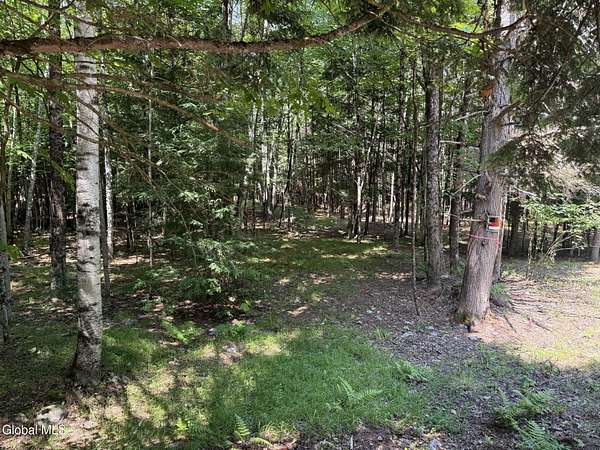 1.42 Acres of Residential Land for Sale in Lake Luzerne, New York