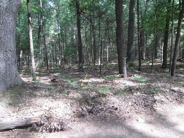 0.4 Acres of Residential Land for Sale in Pentwater, Michigan