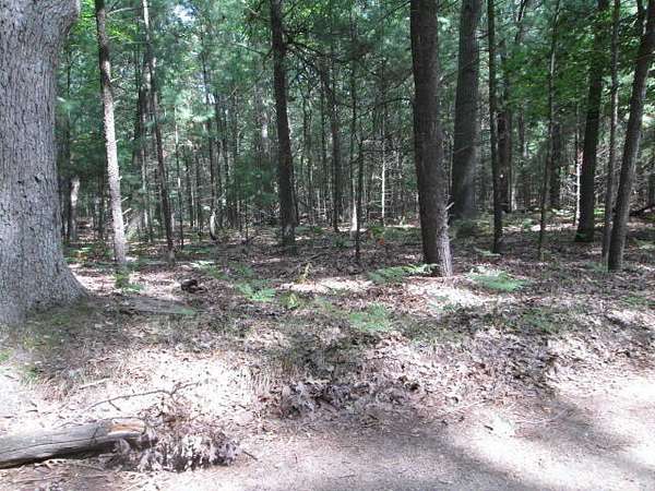 0.4 Acres of Residential Land for Sale in Pentwater, Michigan
