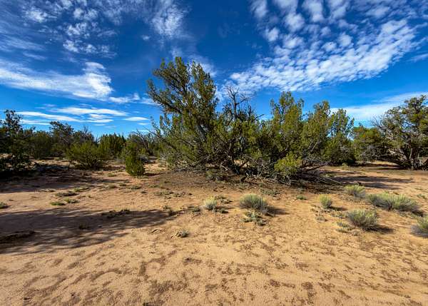 37.5 Acres of Recreational & Residential Land for Sale in St. Johns, Michigan