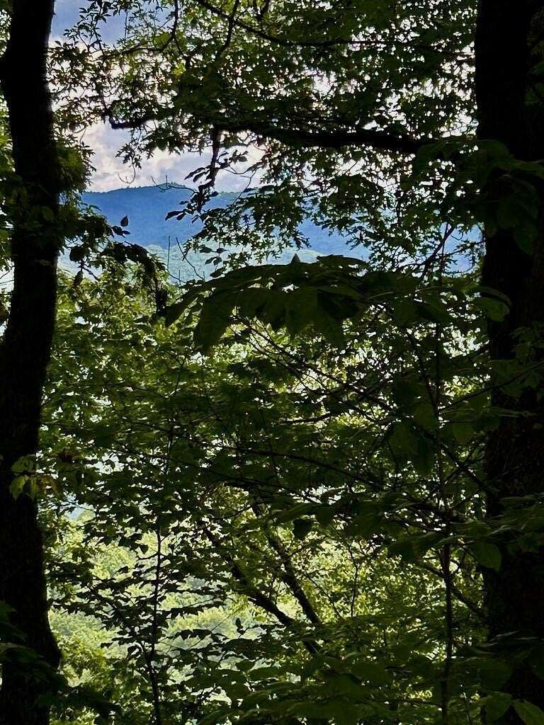 6.2 Acres of Land for Sale in Bryson City, North Carolina