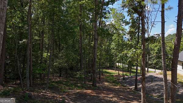 1 Acre of Residential Land for Sale in Clarkesville, Georgia