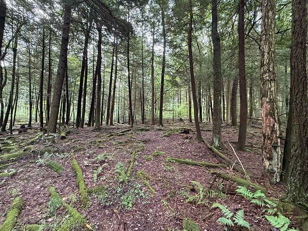 189 Acres of Land for Sale in Sigel, Pennsylvania