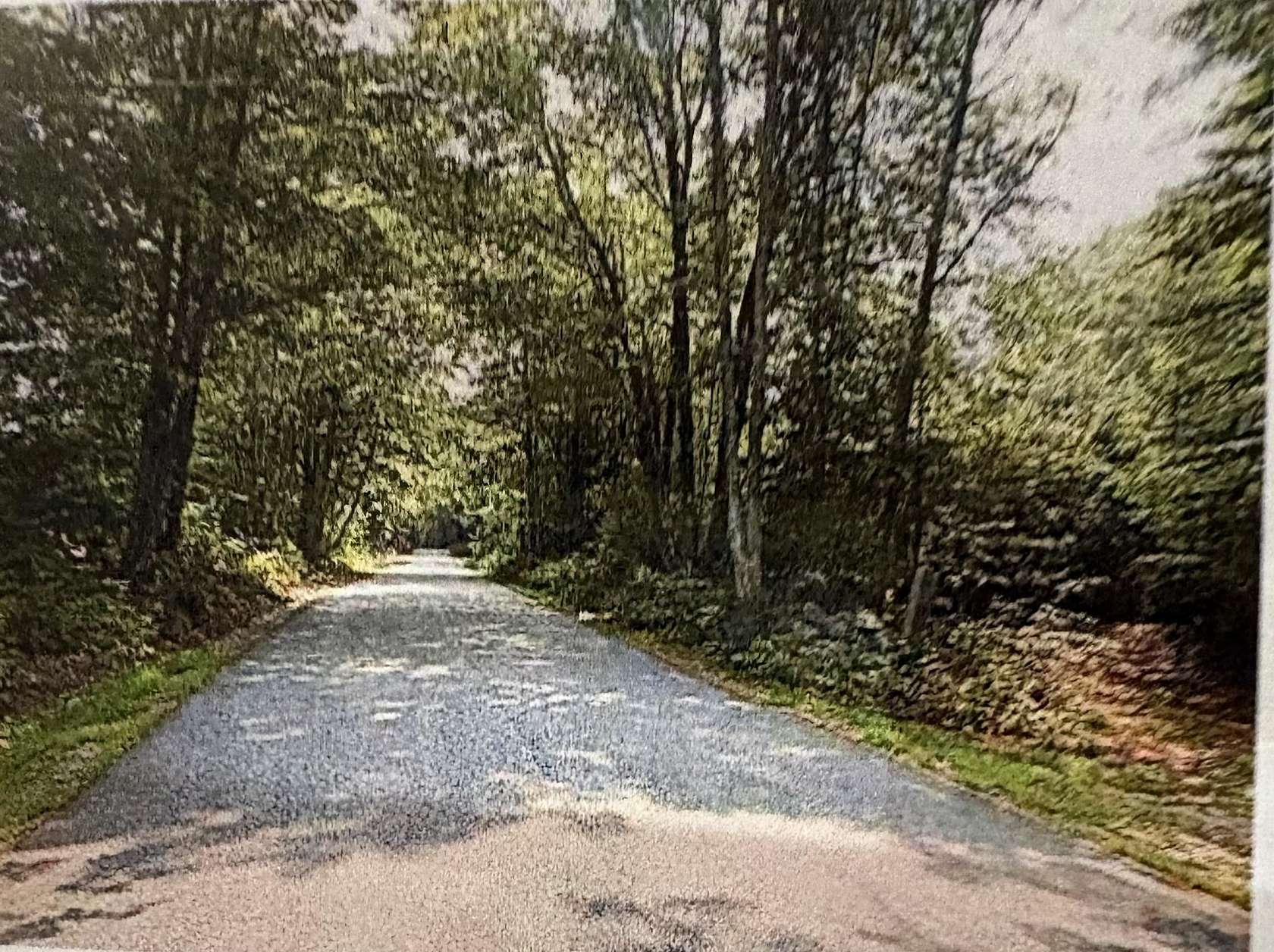 15 Acres of Land for Sale in Brookfield, New Hampshire
