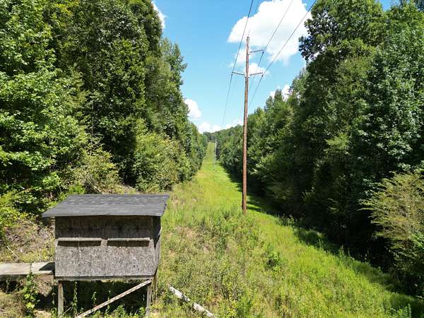 56 Acres of Land for Sale in Parrish, Alabama