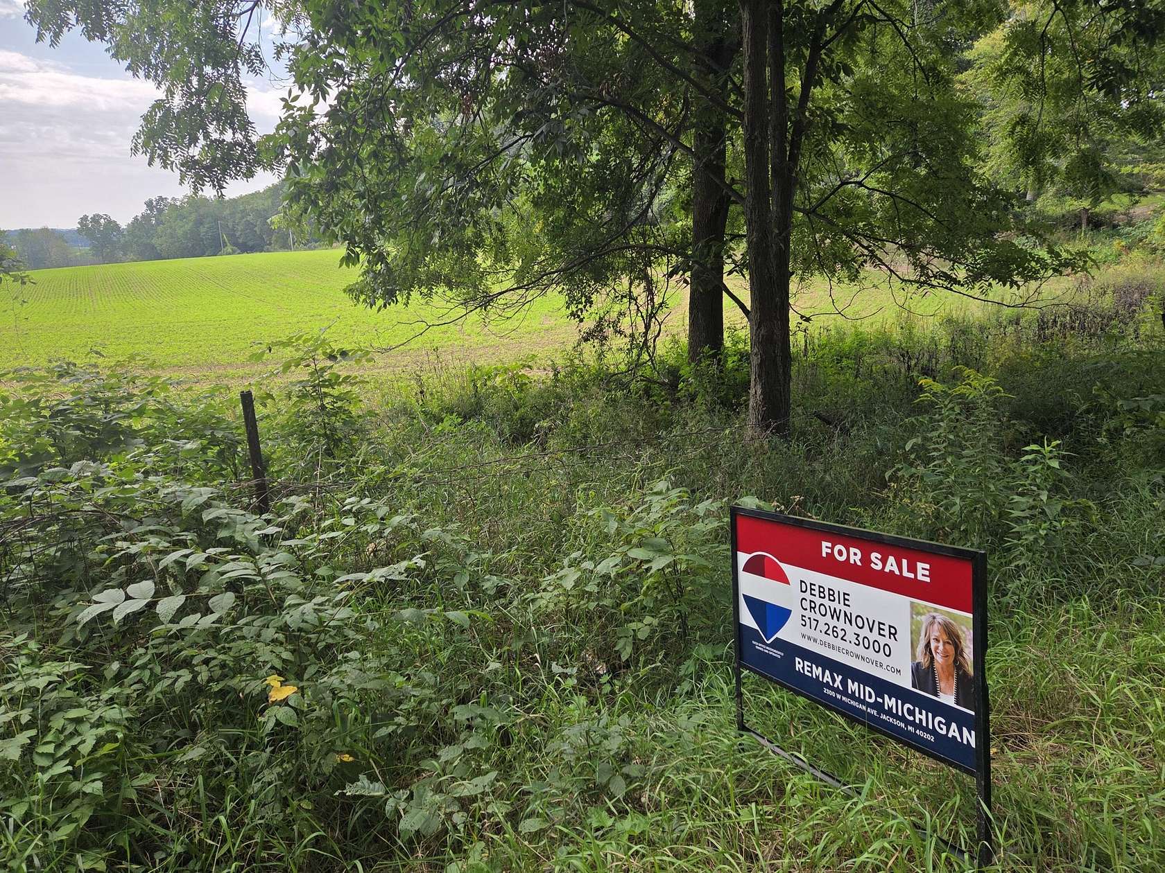 3 Acres of Residential Land for Sale in Clarklake, Michigan
