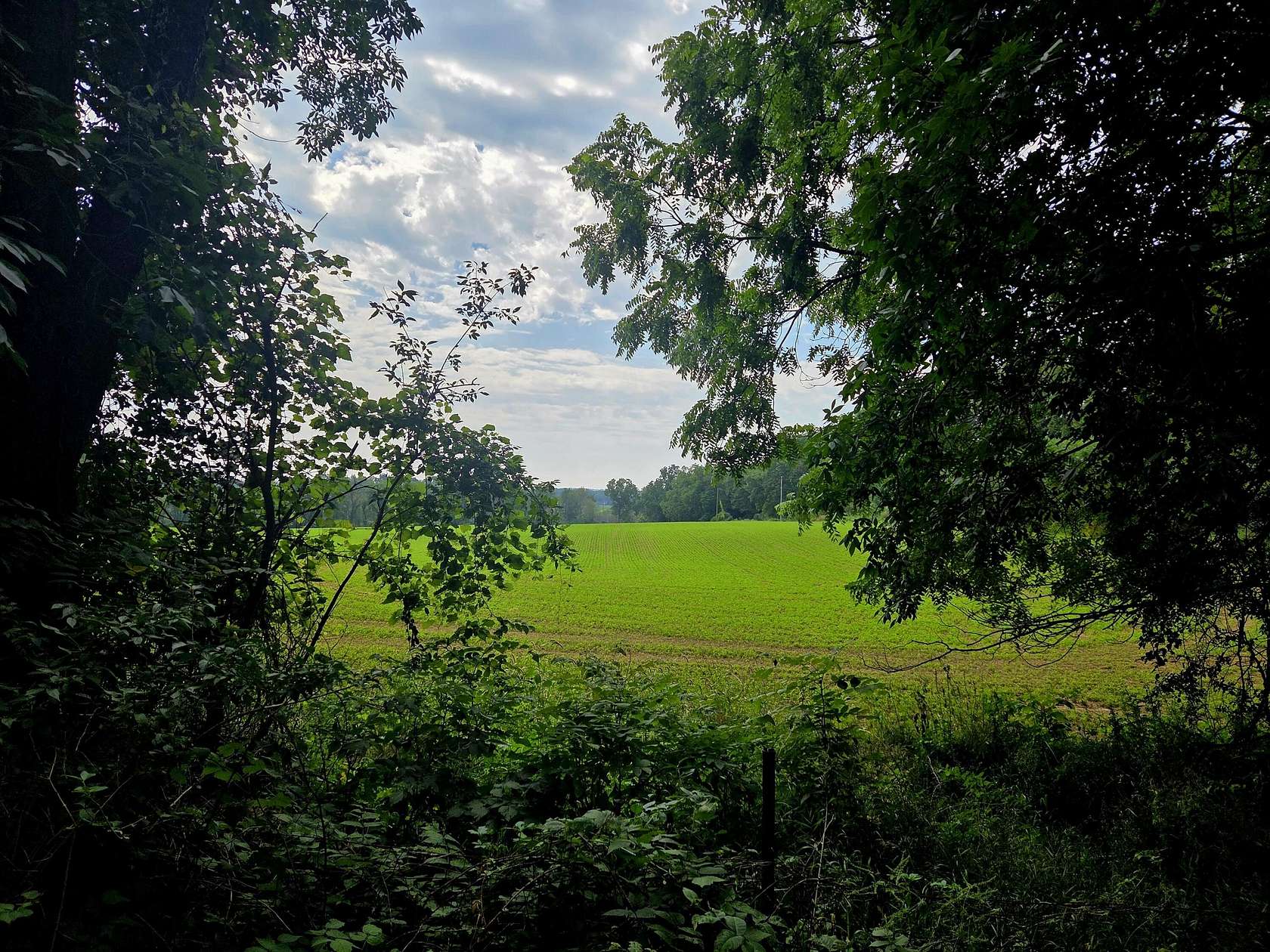 9.12 Acres of Residential Land for Sale in Clarklake, Michigan