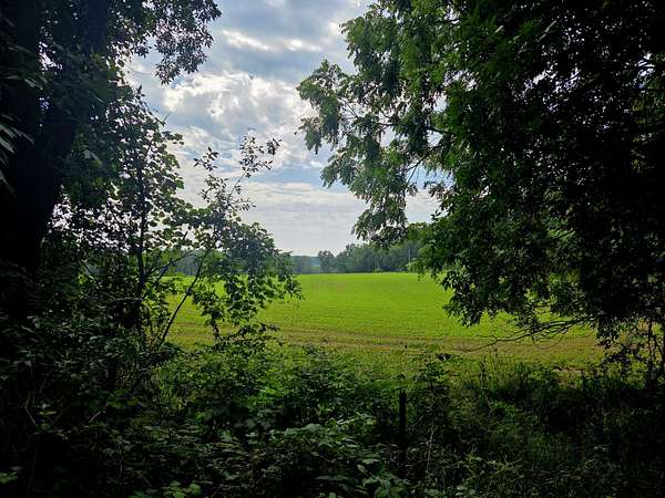 9.12 Acres of Residential Land for Sale in Clarklake, Michigan