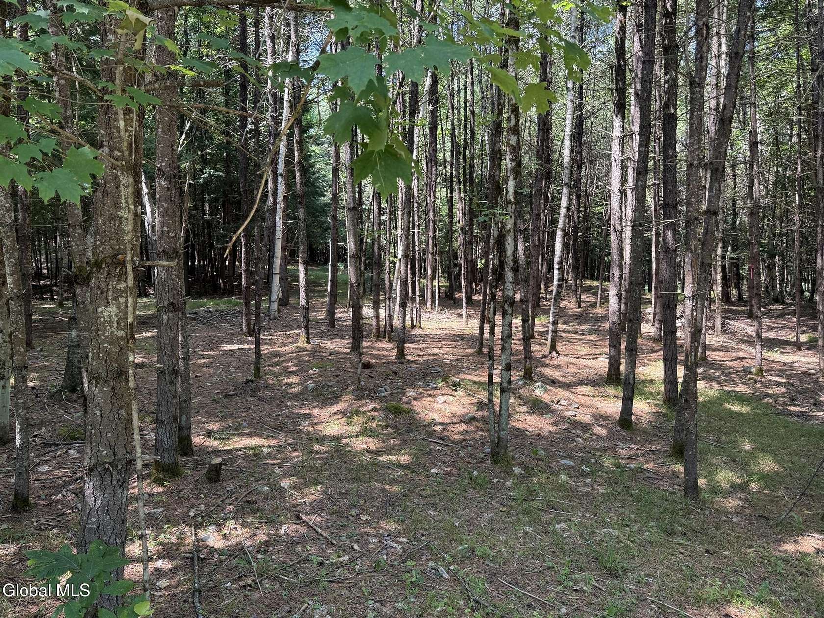 1.47 Acres of Residential Land for Sale in Lake Luzerne, New York