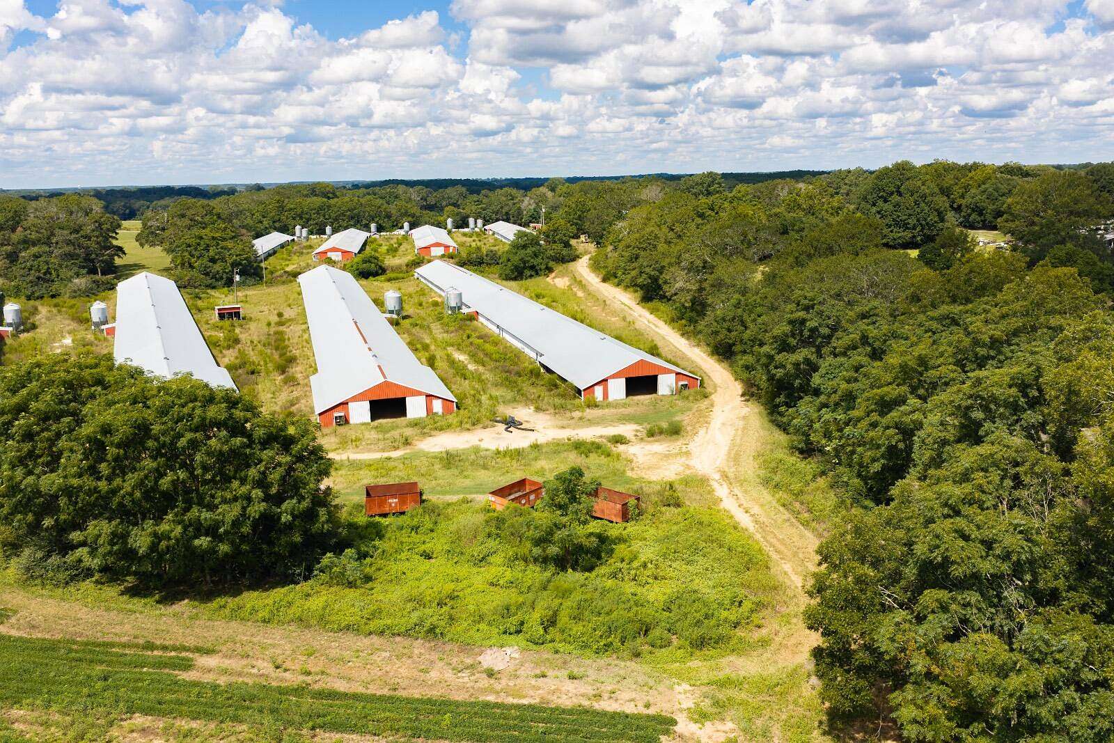 15.3 Acres of Agricultural Land for Sale in Enterprise, Alabama