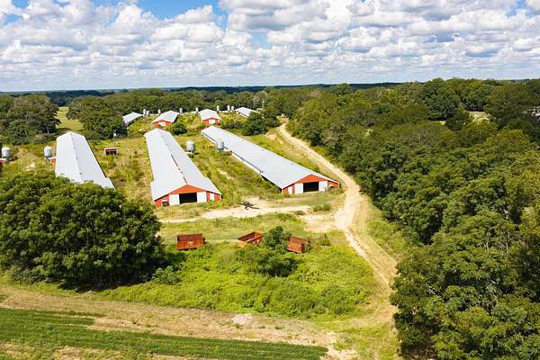 15.3 Acres of Agricultural Land for Sale in Enterprise, Alabama