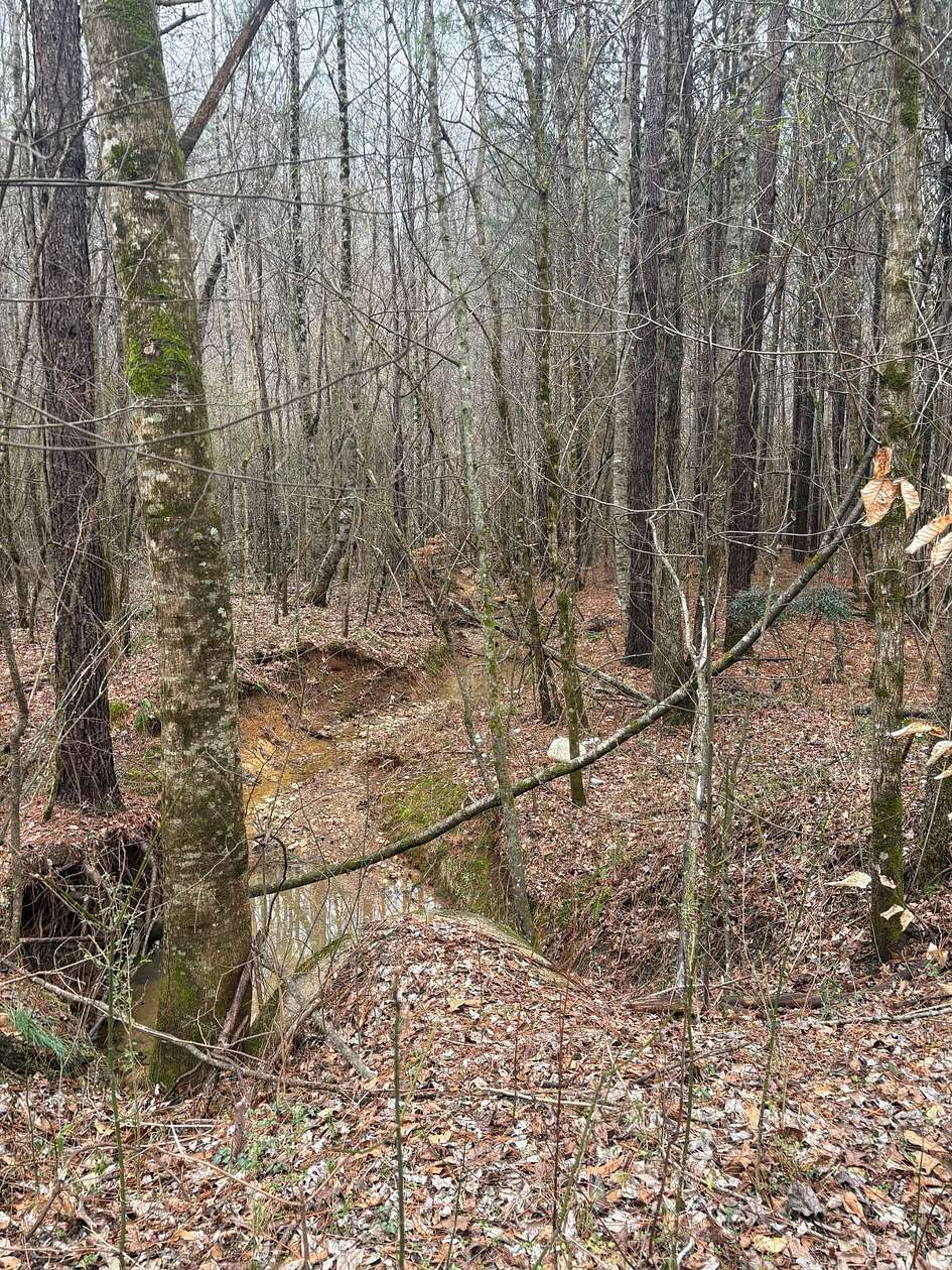 20 Acres of Land for Sale in Sylacauga, Alabama