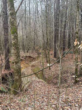 20 Acres of Land for Sale in Sylacauga, Alabama